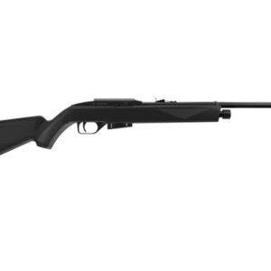 Crosman 1077 RepeatAir — Semi-Auto CO2 Air Rifle